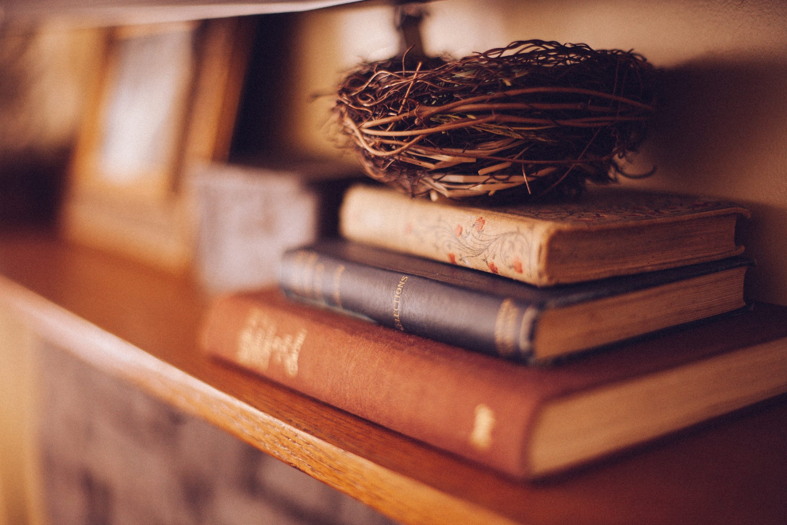 shelf with stacked books